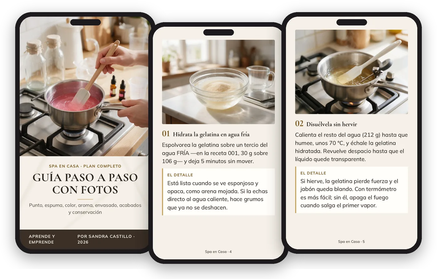 Páginas reales de la guía paso a paso con fotos en el celular